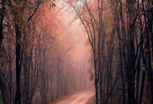 开云:亚沙会丨全天综合：四海宾朋相聚三亚 中国健儿圆梦首金