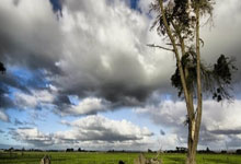 开云体育下载:2030年女篮世界杯、2031年男篮世界杯分别落户日本和法国