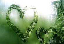 开云APP下载:摔跤亚锦赛：中国古典式摔跤队4铜收官