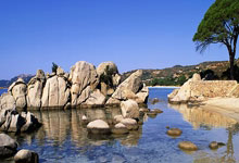 开云APP下载:客场击败勒沃库森 拜仁挺进德国杯决赛